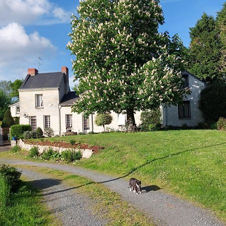 Chambres D'Hotes De L'Ile Du Saule ソミュール エクステリア 写真