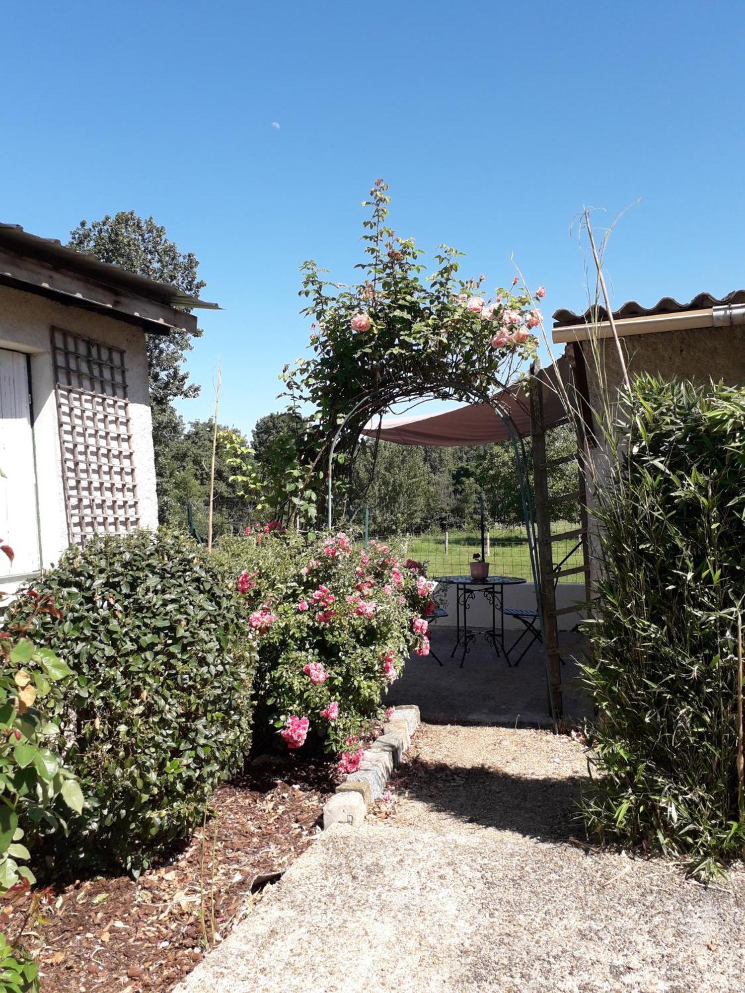 Chambres D'Hotes De L'Ile Du Saule ソミュール エクステリア 写真