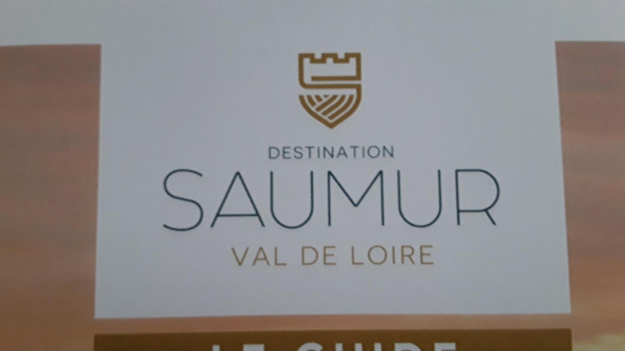 Chambres D'Hotes De L'Ile Du Saule ソミュール エクステリア 写真