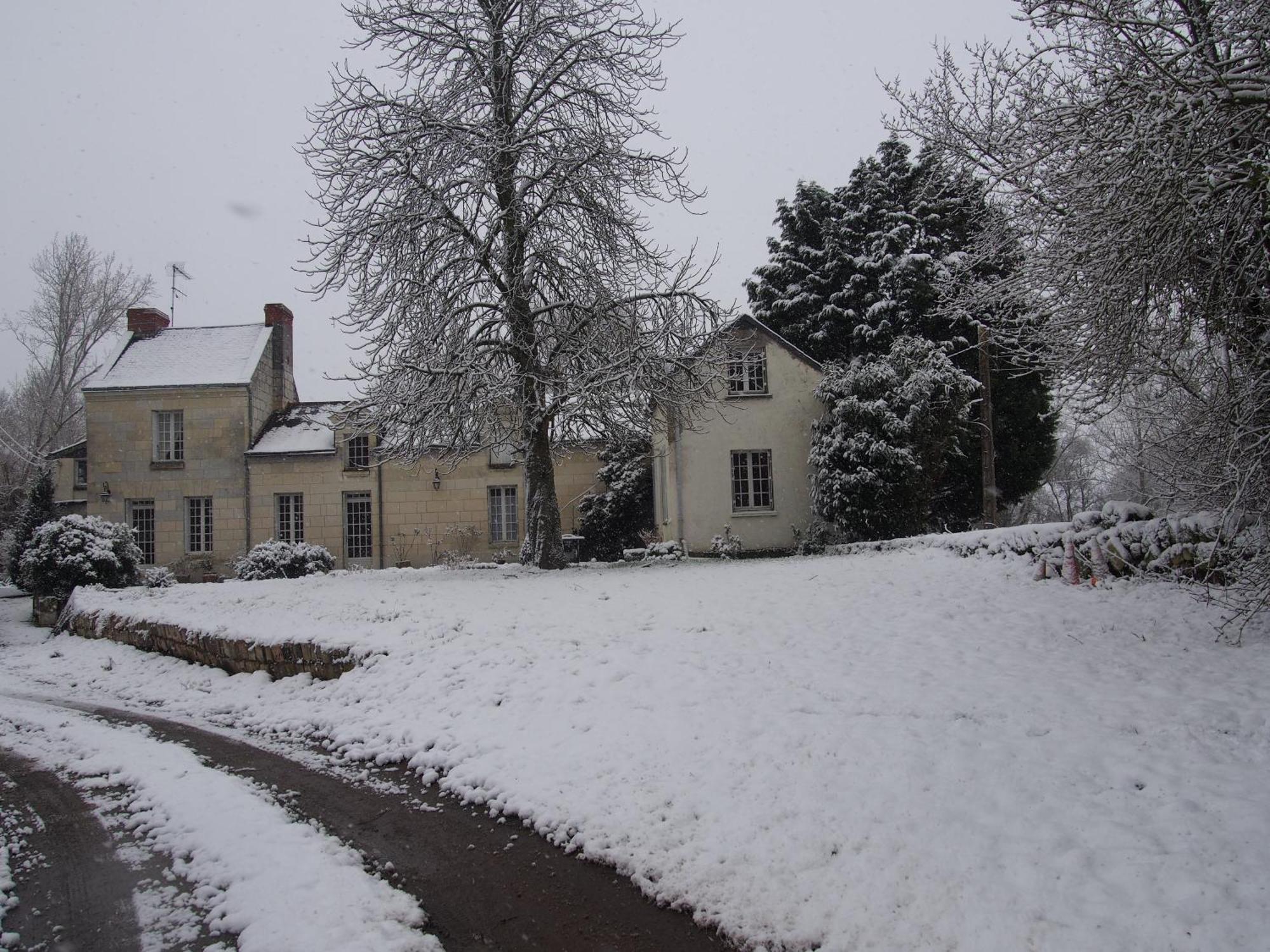 Chambres D'Hotes De L'Ile Du Saule ソミュール エクステリア 写真