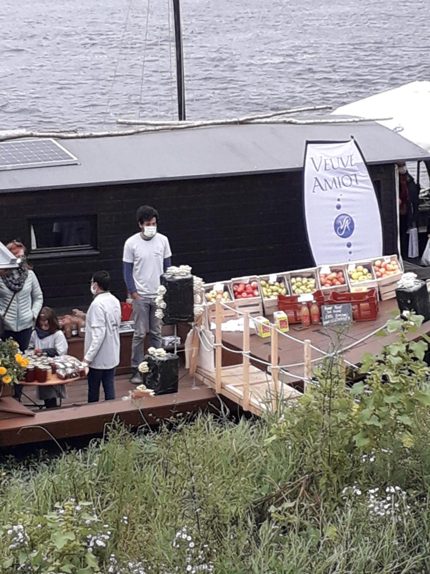 Chambres D'Hotes De L'Ile Du Saule ソミュール エクステリア 写真